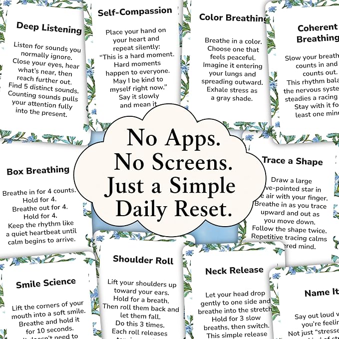Niche Nation Stress & Anxiety Relief Daily Cards - Stress Relief Gifts for Women & Men - Anxiety Relief Items - Mindfulness Deck - 50 Cognitive Science-Backed Exercises to Calm Your Mind