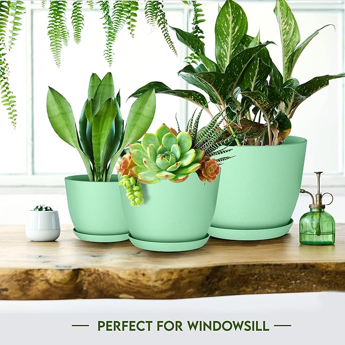 Plant Pots Indoor with Drainage, 10 Pack Multi-Size Planters Set, Mint | Drainage holes included Multiple sizes 7/6.6/6/5.3/4.8 In Indoor plants and flowers Durable plastic construction