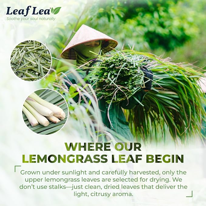 LeafLea Premium Lemongrass Herbal Tea Bags, Digestion Support, 80 Count | Natural Lemongrass Leaves, Te De Limoncillo, Light & Soothing Taste, Caffeine-Free, Sugar-Free, Vegan, Individually Wrapped