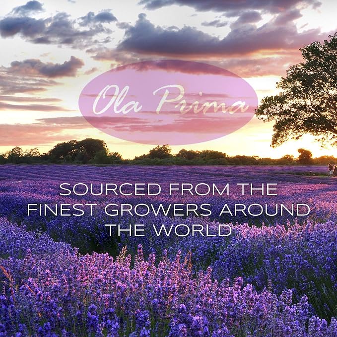 Ola Prima Oils 8oz - Rose Geranium Essential Oil - 8 Fluid Ounces