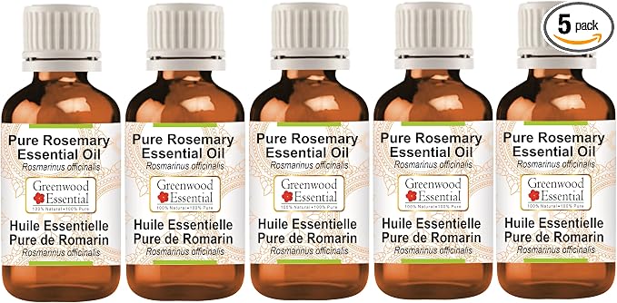 Greenwood Essential Pure Rosemary Essential Oil (Rosmarinus officinalis) Steam Distilled (Pack of Five) 100ml X 5(16.9 oz)
